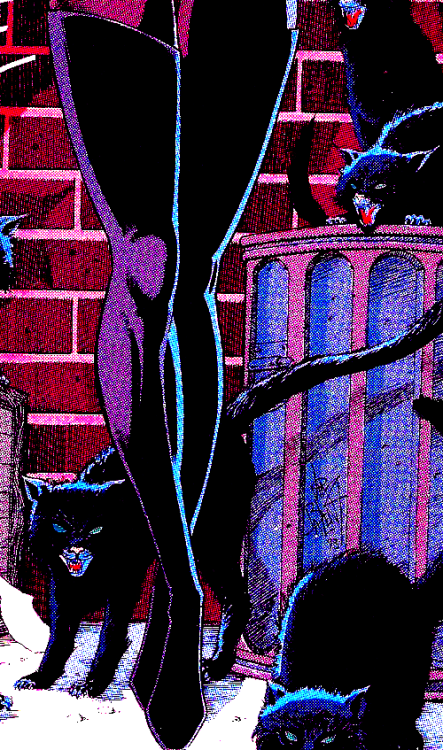 harleyquinn-clownprincessofcrime:  CATWOMAN by Jim Balent 