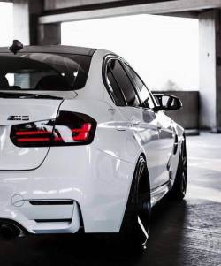 Audi & BMW
