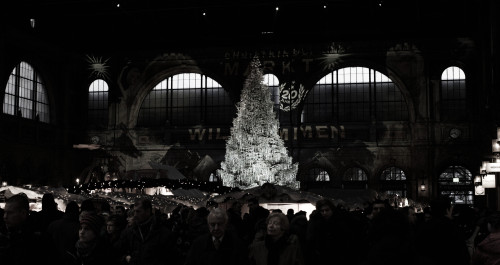 Hauptbahnhof Tree