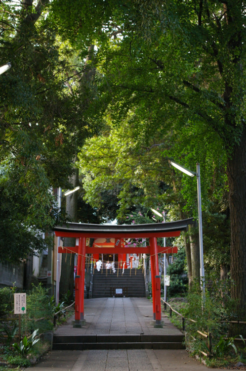 熊野神社 By : yu.kleides