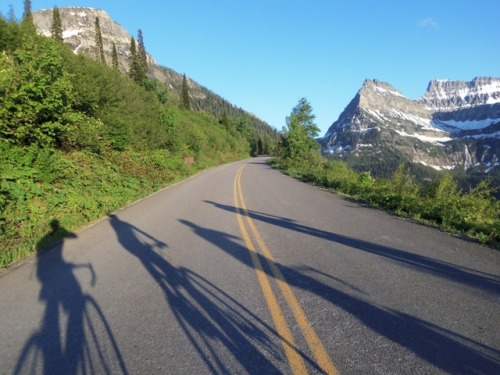  Cycling in our national parks is a different way to enjoy the parks you love. 