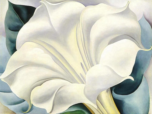 aizobnomragym:Georgia O’Keeffe“Jimson Weed II”