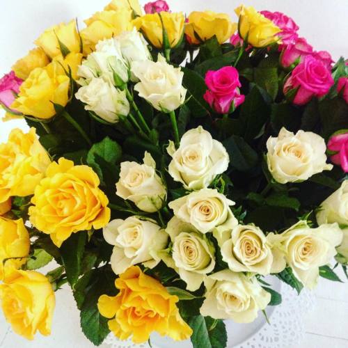 cillistudio: the day after Valentines day, roses are on sale #pinkroses #yellowroses #whiteroses #bu