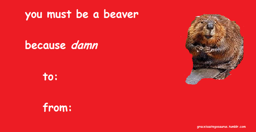 10knotes:  sorry: Valentines Day Cards *tumblr edition* Don’t get stuck with boring