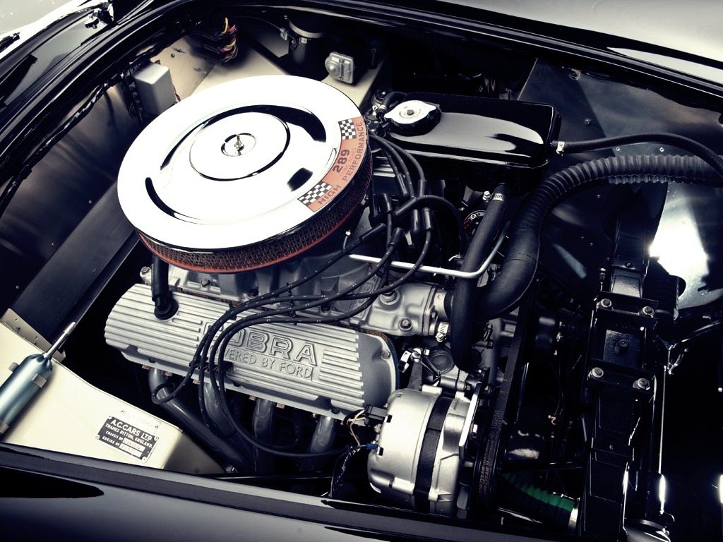 1womanofwonder:  happyninjabunny:  Shelby Cobra  Yes…that 