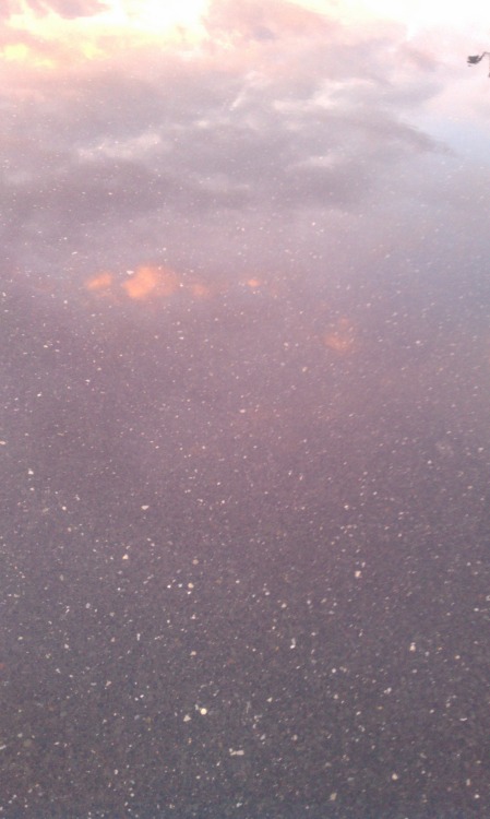 spellboundwitchcraft:Flooded parking lots are beautiful, especially when the speckled asphalt makes 