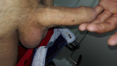 Sex chacales-latinos:  Hetero engañado de Guadalajara pictures