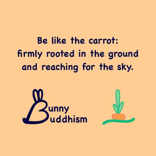 #bunnybuddhism #bunniness #bunny #bunnylove #quotes...