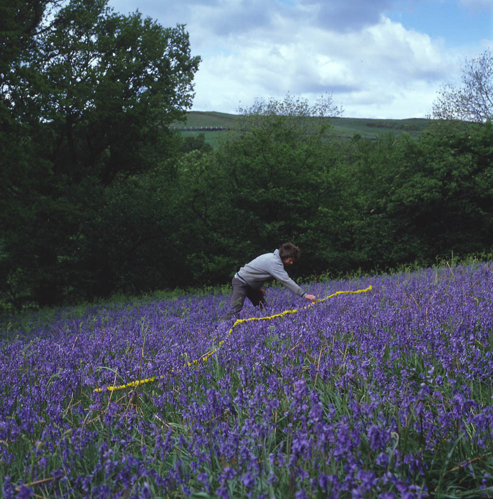 i-am-the-beast-i-worship:  Andy Goldsworthy 