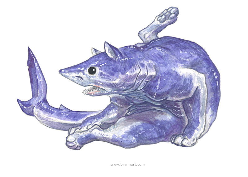 dr-archeville:  Shark Cats: Portraits of Terror by Brynn Metheney [source] Basking