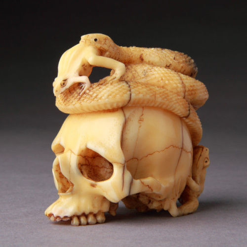 Okimono of a human skullA Japanese carved Walrus ivory Okimono of a human skull ‘Memento Mori’, a la