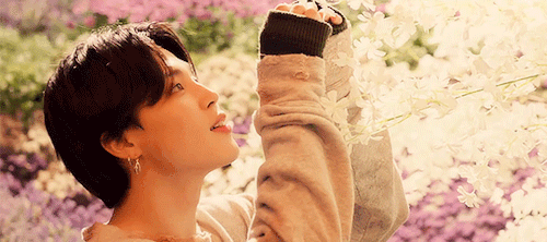 BTS Stay Gold Feels Like Heaven