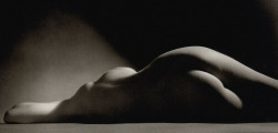 almavio:    Ruth Bernhard (1905 – 2006), Untitled, 1967 