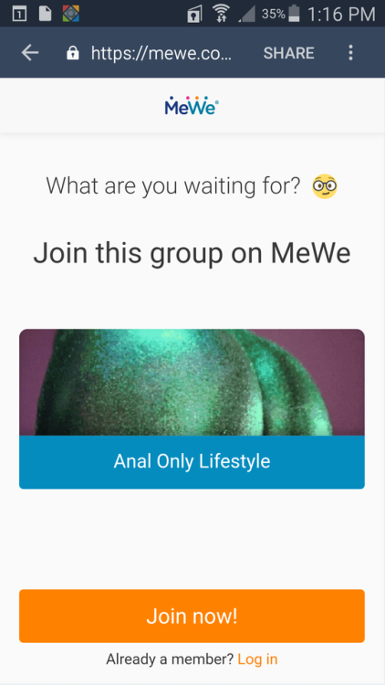 Anal only blog