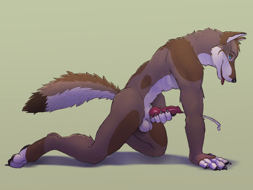 anaughtydragon:  Hmm, canine time tonight! And not any kind of canines, it’s coyote time! So enjoy some hot coyotes and have fun with them tonight maybe? 