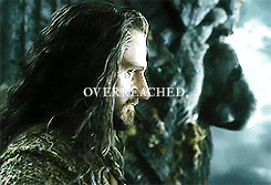 thranduils:I rose too high, loved too hard, dared too much. I tried to grasp a star, overreached, an
