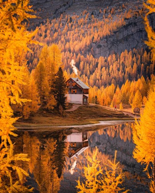 autumncozy:  🍁 Photo by ryanresatka🍁