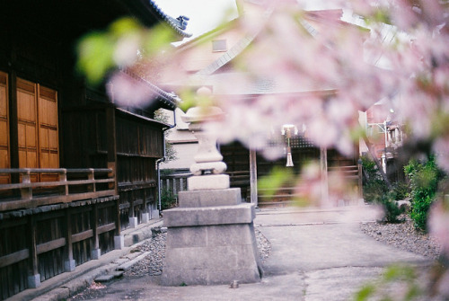 novemberschopin: untitled by Kumiko_oMochi on Flickr.