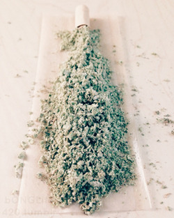 smkbrk:  💚 marijuana 🍍