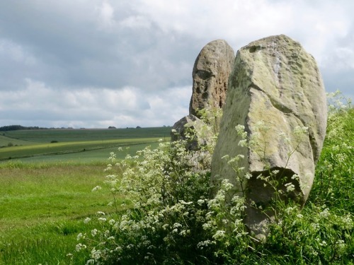 Two stones of the long barrow at West Kennet.