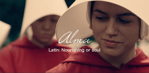thehandmaidstalehulu:We are  h a n d m a i d s.