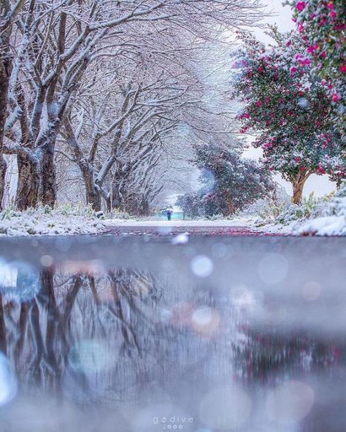 silvaris:Snowy Winter Path by godive2000