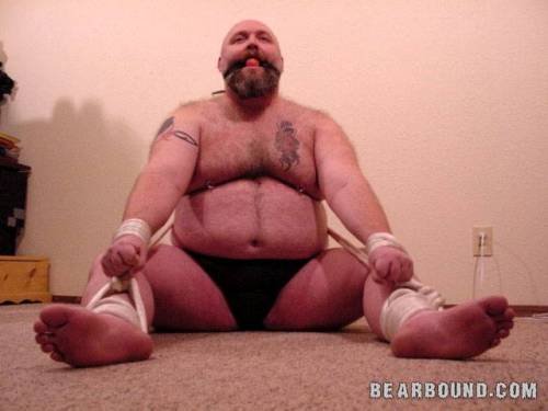 jeryn75:  Steve on the late site BearBound