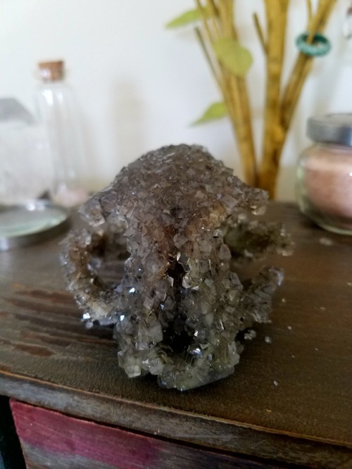 Black crystallized skull