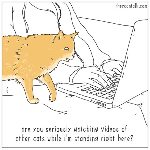 theycantalk:rude