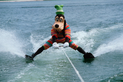 Goofy enjoying some summertime fun in 1983.