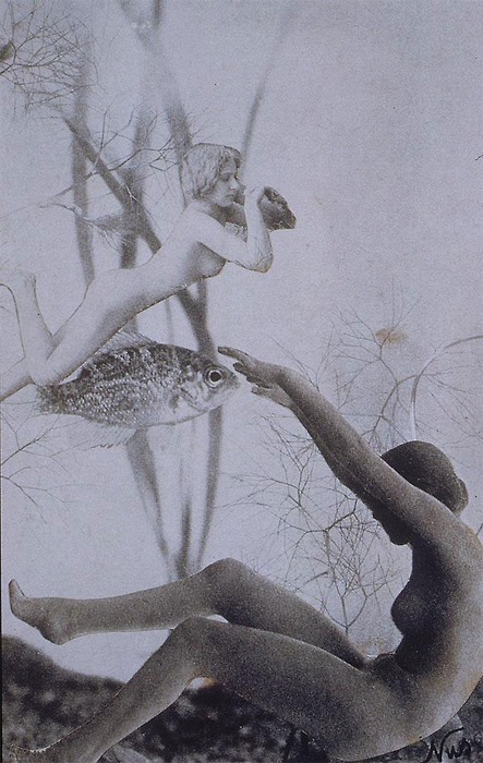 una-lady-italiana:  Nusch Eluard- Bois des Iles, Precious woods, Photo-collage c. 1937 (Collection of Timothy Baum, New York.) 