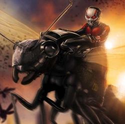 avengersuniverse:  Ant-Man Box Office Update: August 1, 2015Domestic:    贗,528,919Foreign:   贘,400,000Worldwide:   趏,928,919Via BoxOfficeMojo 