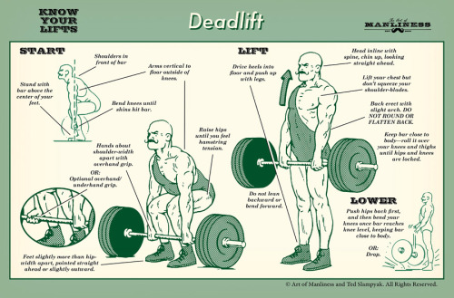 Porn Pics ma9ur0:  “Know Your Lifts” is an illustrated