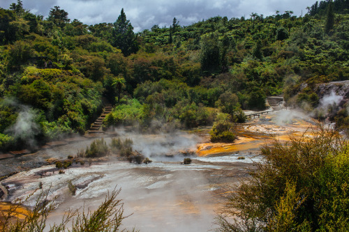 Orakei Korako, Off the Thermal Highway between Rotorua and Taupo, Central North Island, NZ.