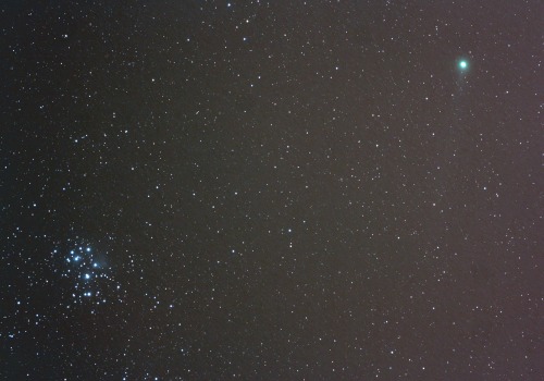 theastrokid:Comet lovejoy gliding past the nebulous star cluster pleiades, returning to the icy oute
