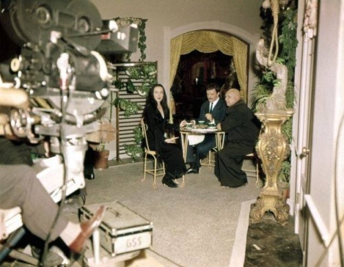 kryptkitten13:  The Addams Family (1960s) set in color. 