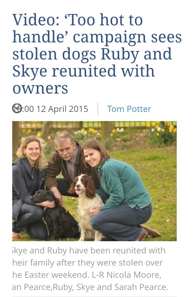 i-hate-the-beach:  Guys! They got their doggies back! Honestly so happy right now