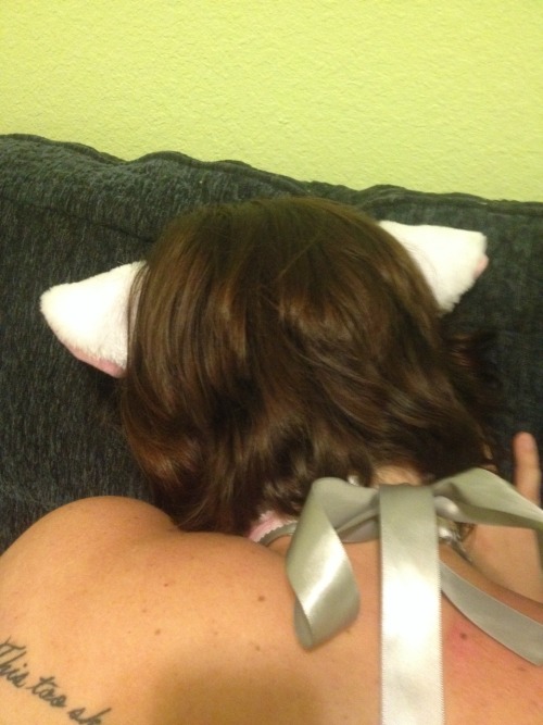 kittyandmrsir:Really nice pictures master took while fucking his pet. I really like the way the bow from my collar looks! I got it from kittensplaypenshop they are great! Check them out! Also I think my ears look cute
