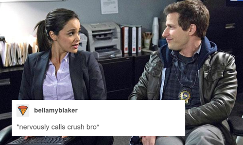 phil-the-stone: Brooklyn Nine-Nine + tumblr textposts, THE CONTINUING SAGA