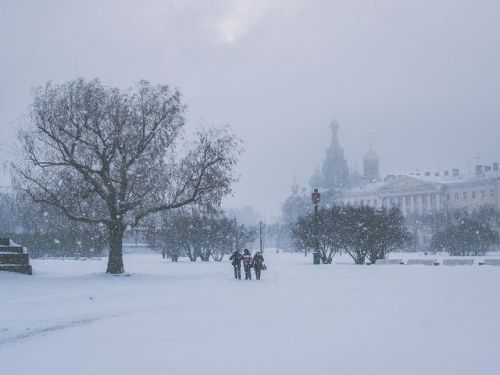 krasna–devica:Saint-Petersburg during snowfall