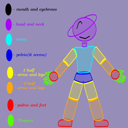 I Just Decided To Show How Cosmic's Body Is Divided