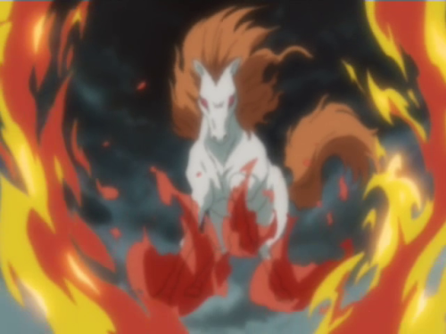 heckboy:no you loser thats rapidash