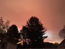 psychedelic-freak-out:  The sky was crazy cool this morning