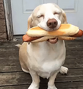 True Love