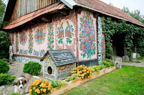 harvestheart:The secluded village of Zalipie in southeastern Poland is home to a charming tradition. Over a century ago the women of the village began to paint their houses.HH:  Look at that cute little dog house.