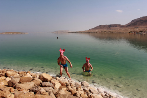 Porn photo DEAD SEA BUNNIES - THE DEAD SEA 2015ALEXANDER