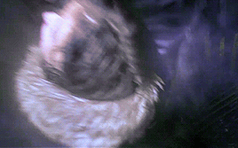 i-heart-scully:If I quit now, they win. 