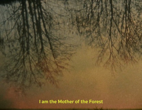 violentwavesofemotion:Chelsea Wolfe in “Erde,”dir. by Virginie Khateeb