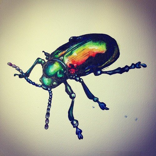 Not the best photo, but rainbow beetley-thing is done. #illustration #watercolour #backinthesaddle