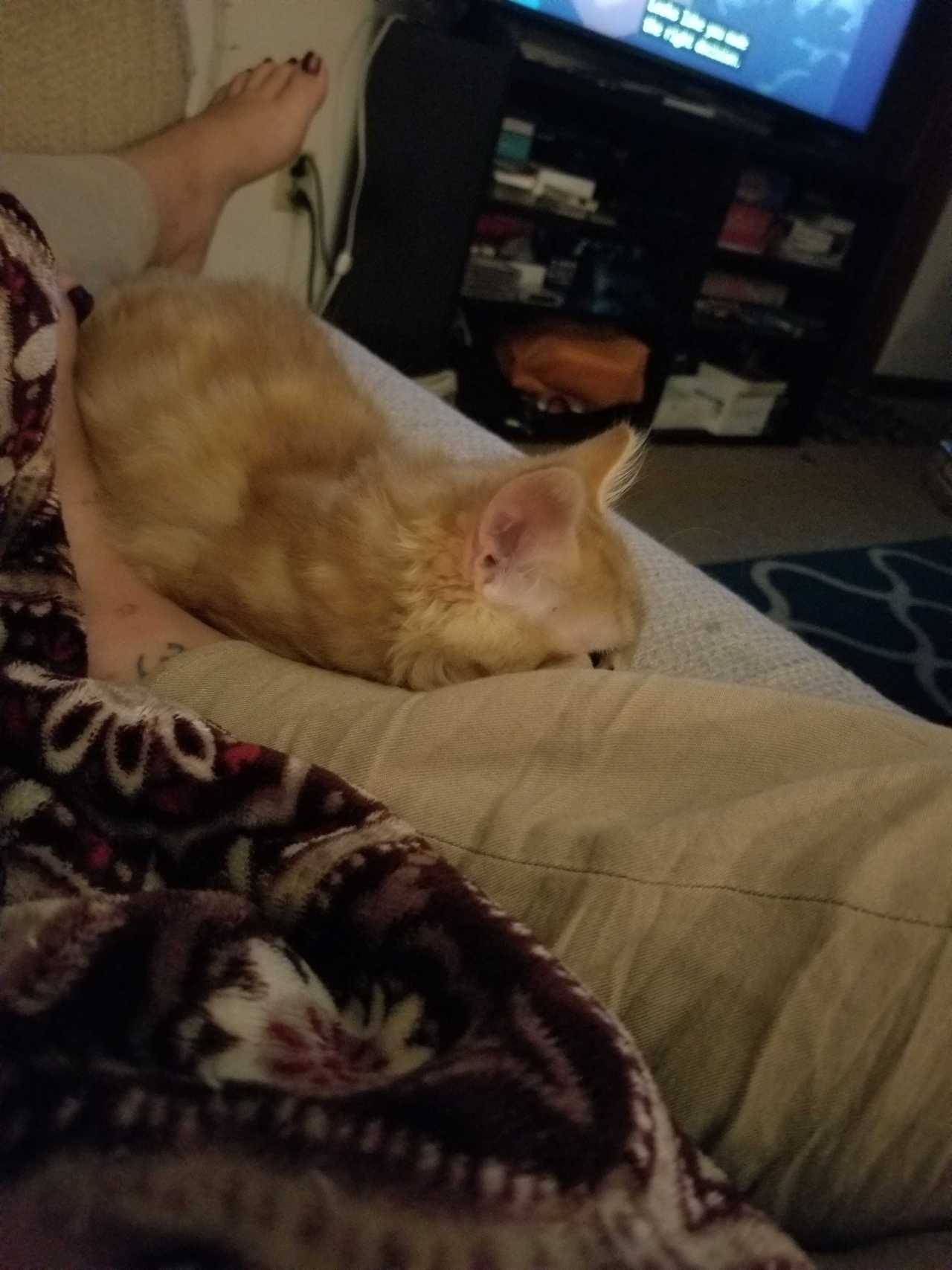Cute little Naruto! Such a sweet babes